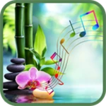 Logo of Relaxing Music android Application 